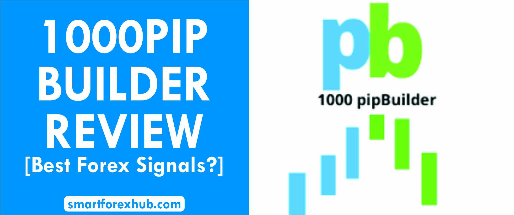 1000PIP Builder Review featured image